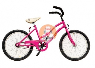 Bicicleta Playera Dama C/ Freno Rodado 20 Rosa